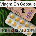 Viagra Capsule 41